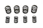 Valve Spring Set