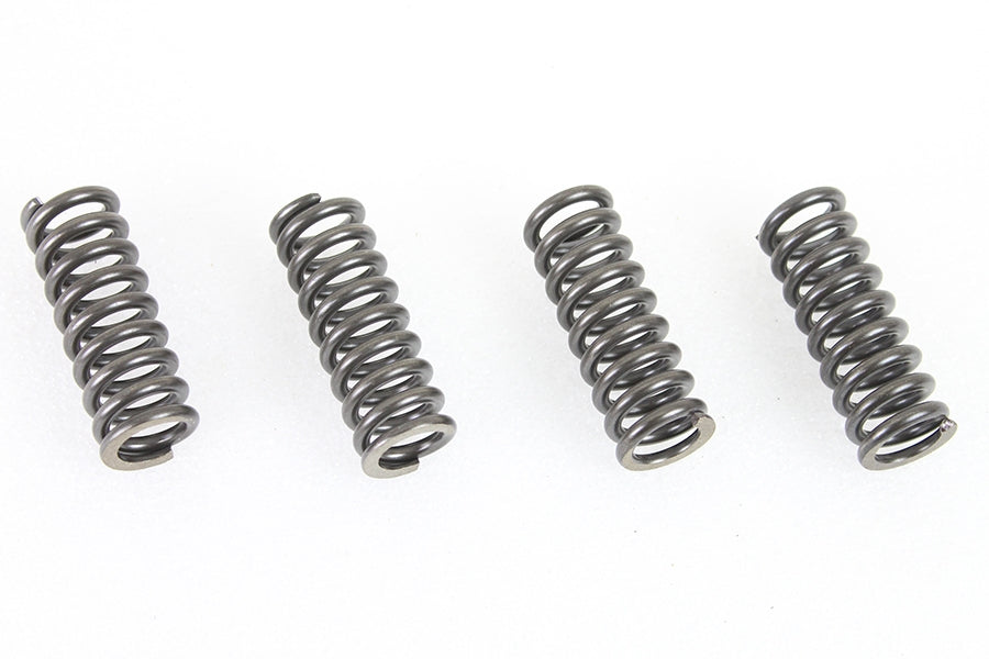 45 inch WR Valve Spring Set