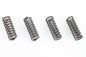 45 inch WR Valve Spring Set