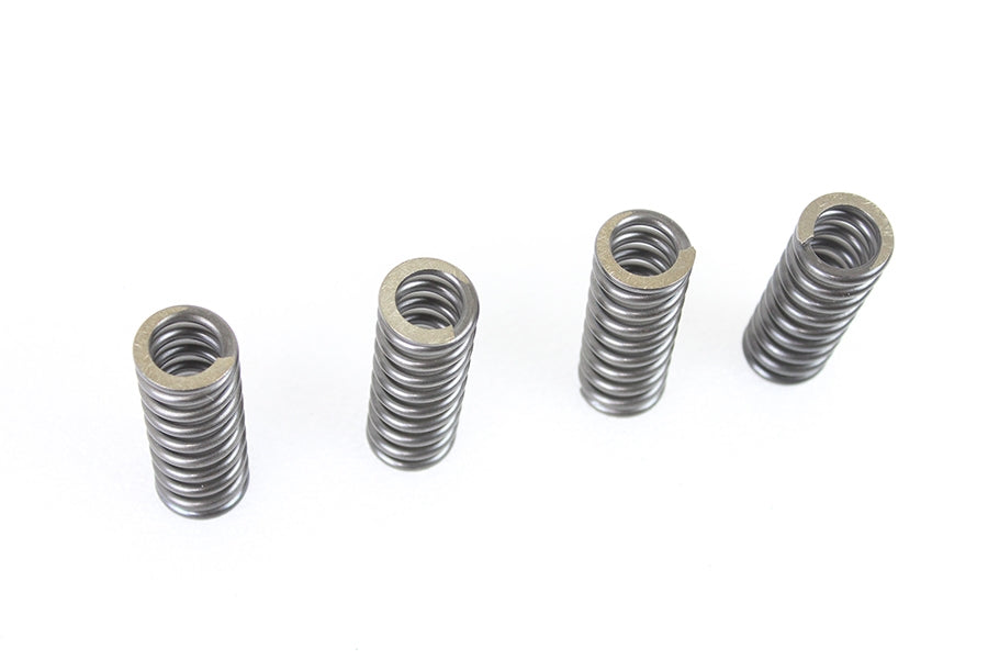 45 inch WR Valve Spring Set