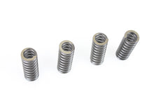 Load image into Gallery viewer, 45 inch WR Valve Spring Set