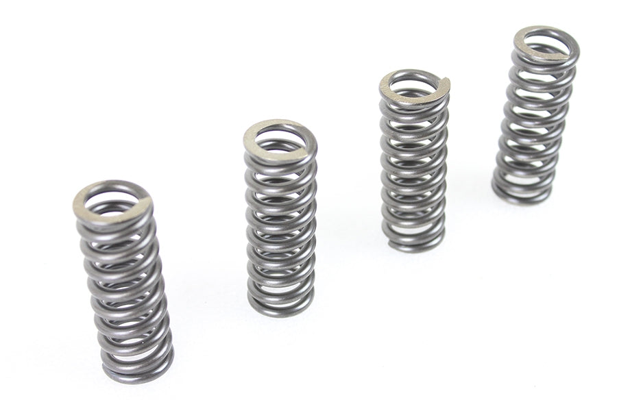 45 inch WR Valve Spring Set