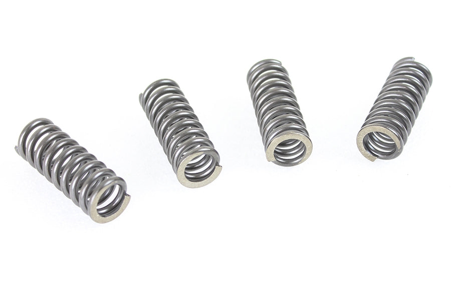 45 inch WR Valve Spring Set