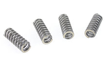 Load image into Gallery viewer, 45 inch WR Valve Spring Set