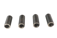 Load image into Gallery viewer, Valve Spring Set