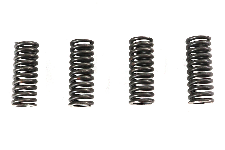 Valve Spring Set