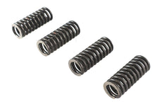 Load image into Gallery viewer, Valve Spring Set
