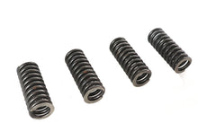 Load image into Gallery viewer, Valve Spring Set