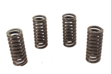Load image into Gallery viewer, Valve Spring Set