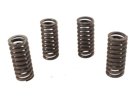 Eastern Parts Valve Spring Set for K Model Sportster motorcycle engine, featuring multiple valve springs on a black background.