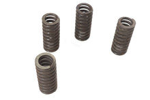 Load image into Gallery viewer, Valve Spring Set