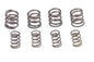 Kibblewhite Valve Spring Set