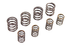 Load image into Gallery viewer, Kibblewhite Valve Spring Set