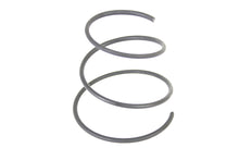 Load image into Gallery viewer, Air Cleaner Spring Parkerized