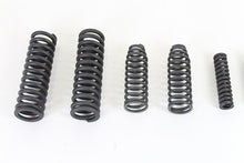 Load image into Gallery viewer, VL Sring Fork Spring Set Parkerized