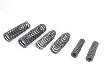 Load image into Gallery viewer, VL Sring Fork Spring Set Parkerized