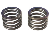 Load image into Gallery viewer, 41mm Fork Lower Damper Tube Spring Set