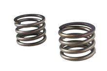 Load image into Gallery viewer, 41mm Fork Lower Damper Tube Spring Set