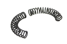 Load image into Gallery viewer, Pawl Carrier Spring Set