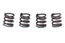 Load image into Gallery viewer, Kibblewhite Valve Spring Kit