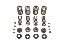 Load image into Gallery viewer, Kibblewhite Valve Spring Kit