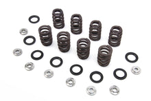 Load image into Gallery viewer, M8 Valve Spring Kit with Titanium Retainers