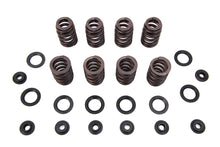 Load image into Gallery viewer, M8 Valve Spring Kit with Steel Retainers