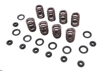 Load image into Gallery viewer, M8 Valve Spring Kit with Steel Retainers