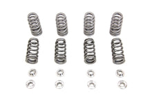 Load image into Gallery viewer, M8 Valve Spring Kit with Titanium Retainers
