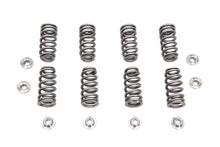 Load image into Gallery viewer, M8 Valve Spring Kit with Titanium Retainers
