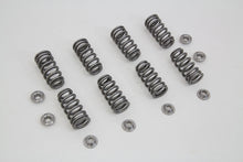 Load image into Gallery viewer, M8 Valve Spring Kit with Titanium Retainers