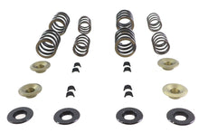 Load image into Gallery viewer, Kibblewhite Valve Spring Kit