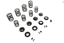 Load image into Gallery viewer, Kibblewhite Valve Spring Kit