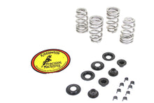 Load image into Gallery viewer, Beehive Valve Spring Kit