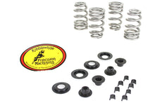 Load image into Gallery viewer, Beehive Valve Spring Kit