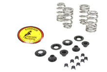 Load image into Gallery viewer, Beehive Valve Spring Kit