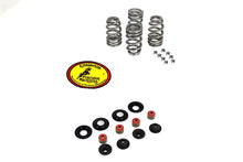 Load image into Gallery viewer, Beehive Valve Spring Kit