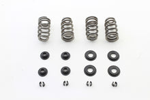Load image into Gallery viewer, Beehive Valve Spring Kit