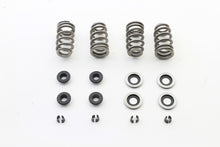 Load image into Gallery viewer, Beehive Valve Spring Kit