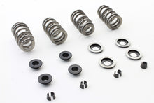 Load image into Gallery viewer, Beehive Valve Spring Kit