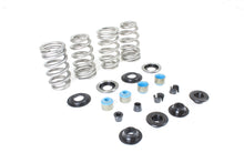 Load image into Gallery viewer, Beehive Valve Spring Kit