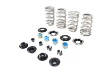 Load image into Gallery viewer, Beehive Valve Spring Kit