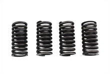 Load image into Gallery viewer, Valve Spring Set