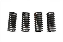 Load image into Gallery viewer, Valve Spring Set