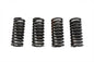 Valve Spring Set