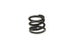 Lower Fork Slider Springs