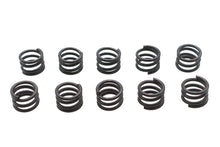 Load image into Gallery viewer, 45 inch Solo Chain Guard Spring