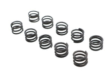 Load image into Gallery viewer, 45 inch Solo Chain Guard Spring