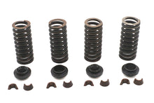 Load image into Gallery viewer, Valve Spring Kit