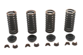 Eastern Parts side valve spring kit, includes multiple valve springs for engine performance, shown in the image.